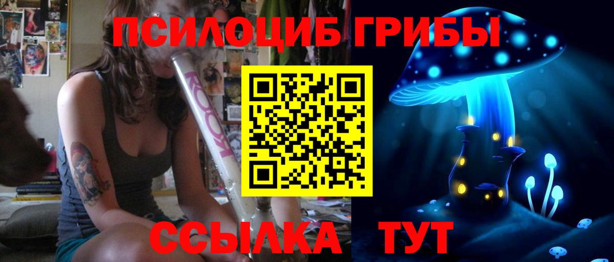 Псилоцибиновые грибы Psilocybe Кубинка